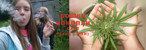 индика Тихвин